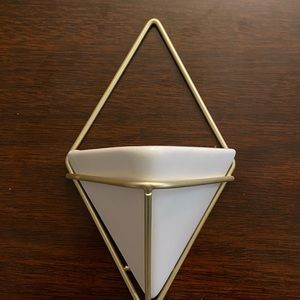 Triangular wall planter for air plant